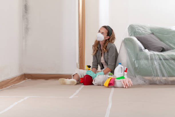 Reliable Mold Removal contractor in Flint Hill, VA by WQB Mold Removal